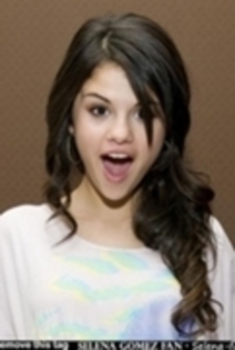 15 - Sedinta foto 08