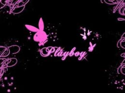 images (16) - Iepurasul PlayBoy