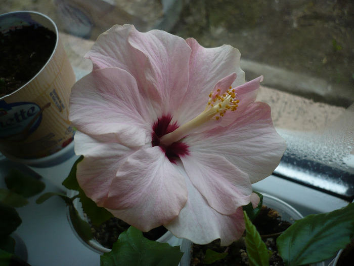 P1060273