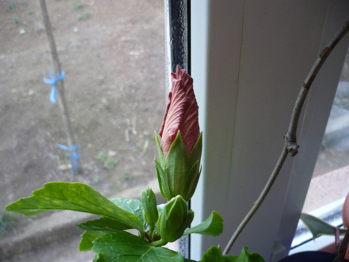P1060272