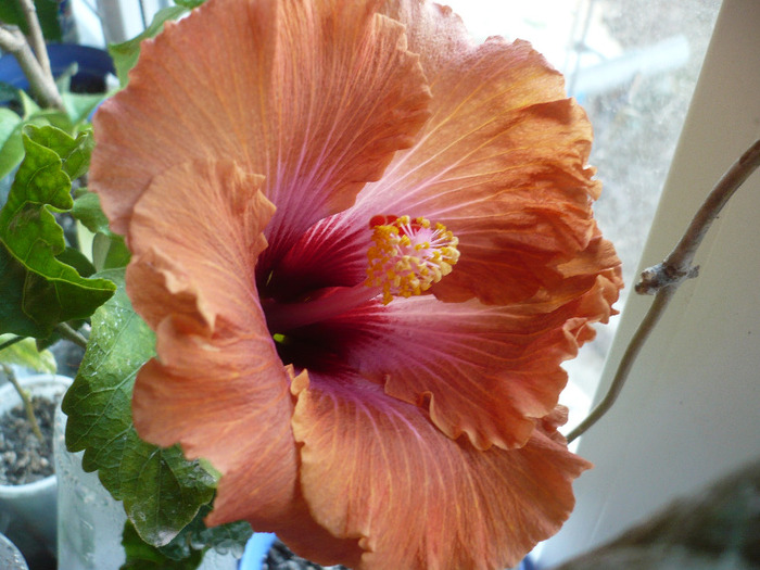 P1060314