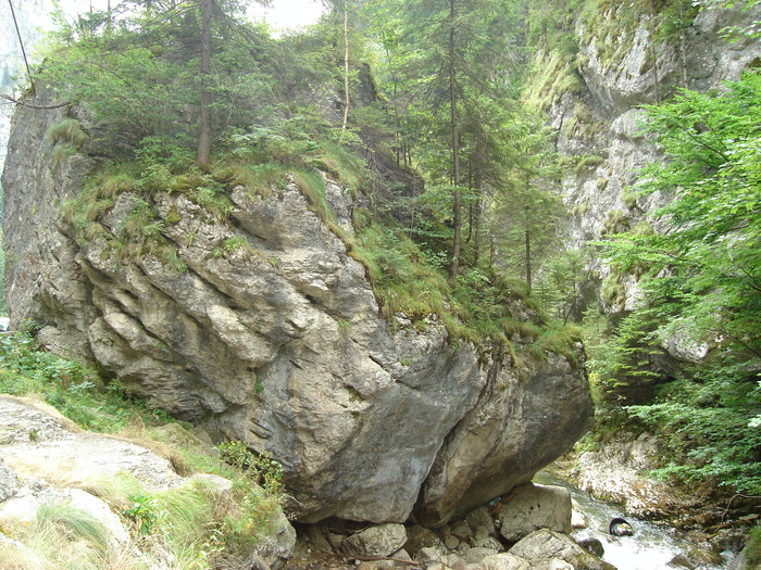41 - Excursie prin tara