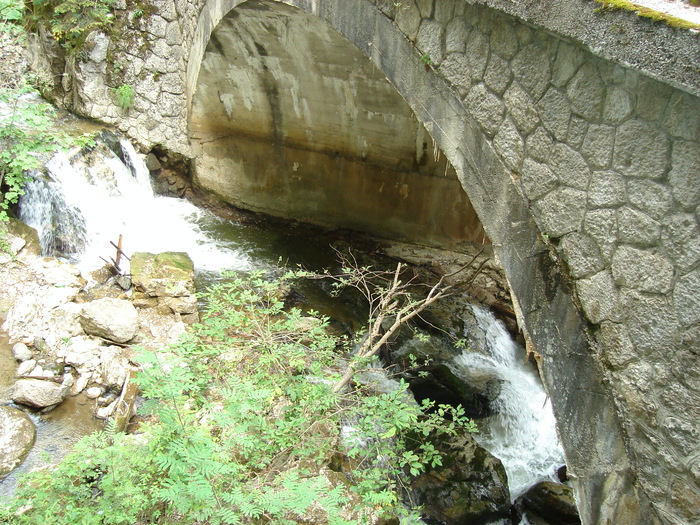 44 - Excursie prin tara