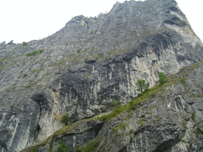 45 - Excursie prin tara