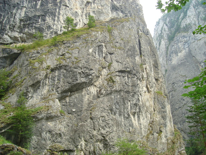 46 - Excursie prin tara