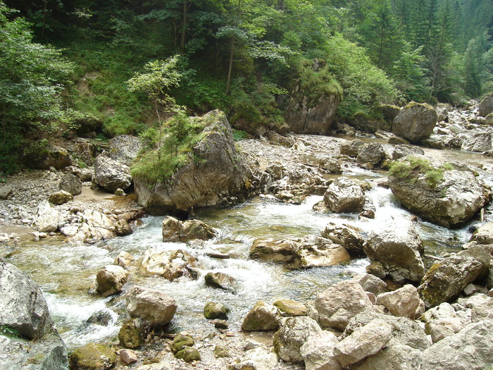 49 - Excursie prin tara