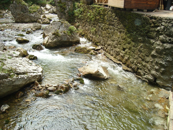 50 - Excursie prin tara