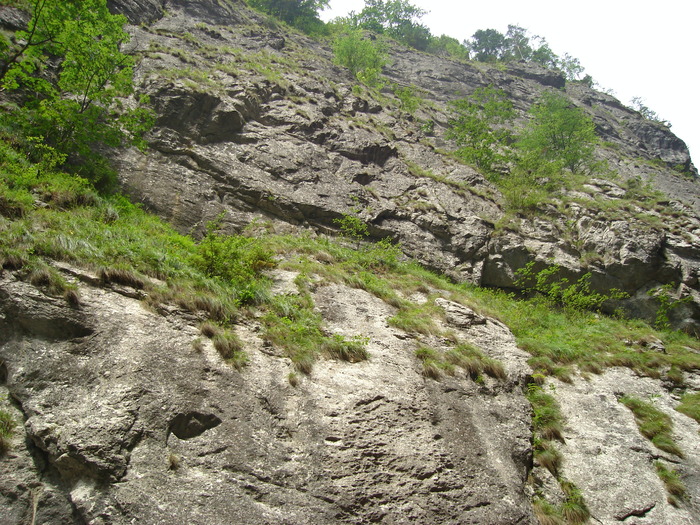 51 - Excursie prin tara