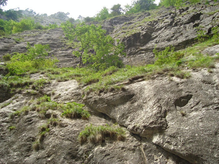 53 - Excursie prin tara