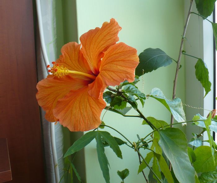 P1330115