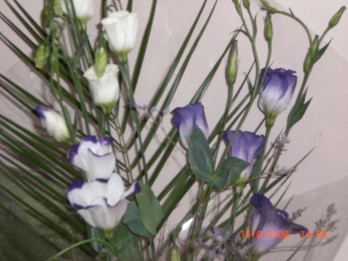 CIMG0901; flori primite
