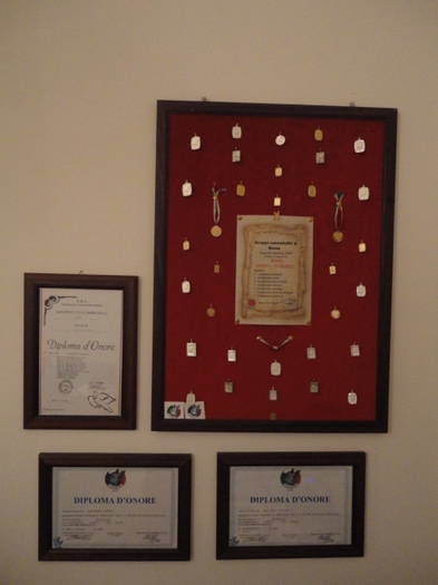 medalii '07, '08, '09 - premiatii si rezultate 2009 - 2010