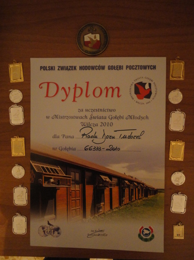 premii 2010 si diploma de la campionatul mondial din Polonia - premiatii si rezultate 2009 - 2010