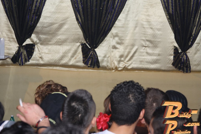 Bal 295 - Balul Bobocilor 3