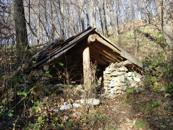 35 Aici s-a nevoit un pustnic