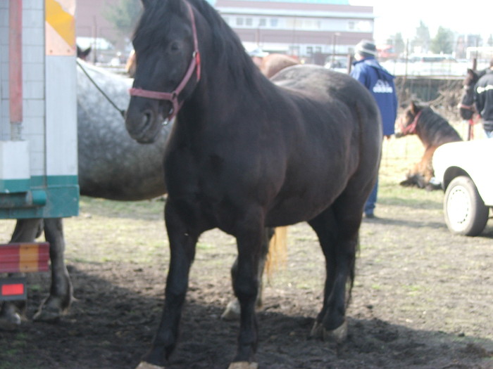 DSCF7206