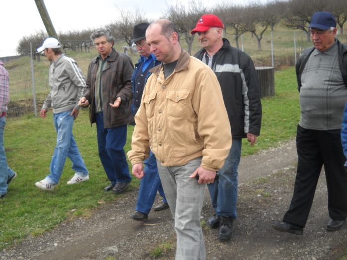 mi-a facut mintea...........