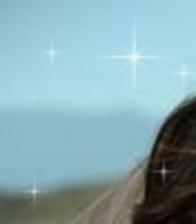 49 - puzzle selena