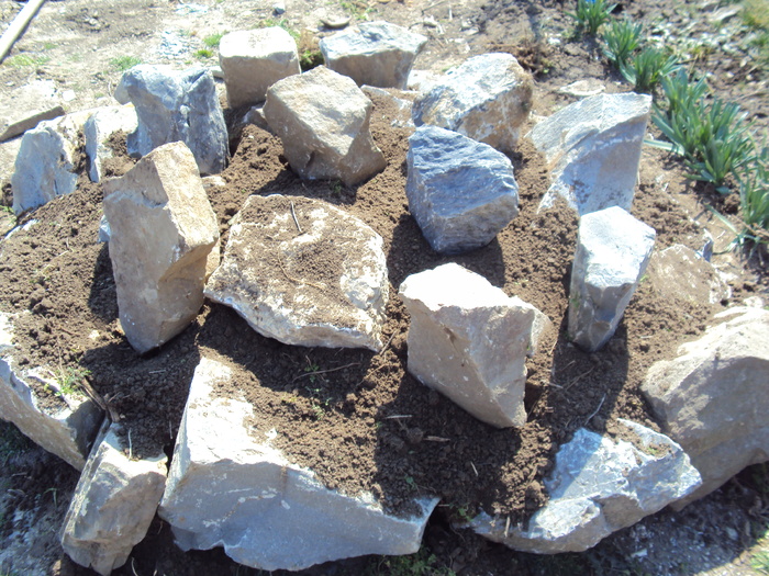 DSC07565 - GRADINA  2011