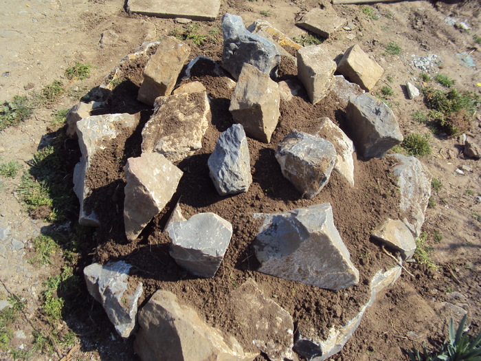 DSC07568 - GRADINA  2011