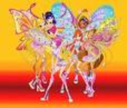 winx fight