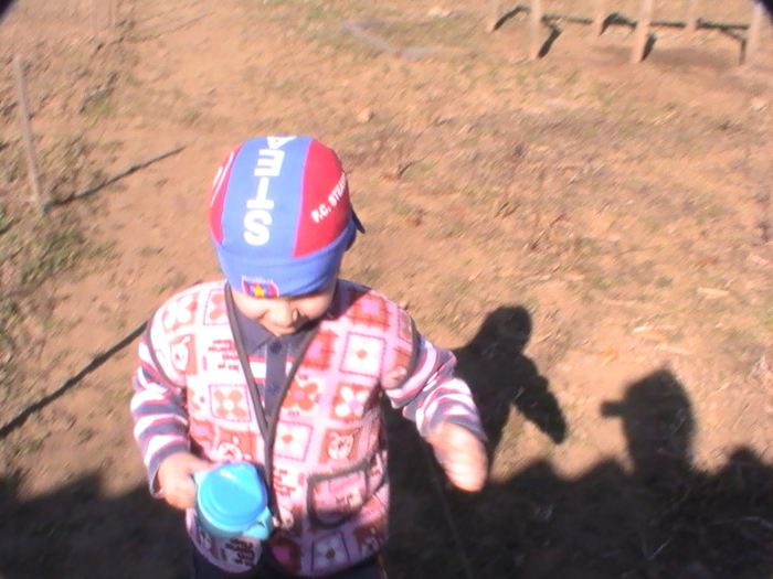 mami,vrei niste apica?