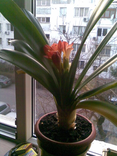 26.03.2011