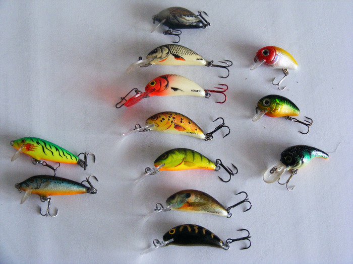 2011_0328PianuarieP0012