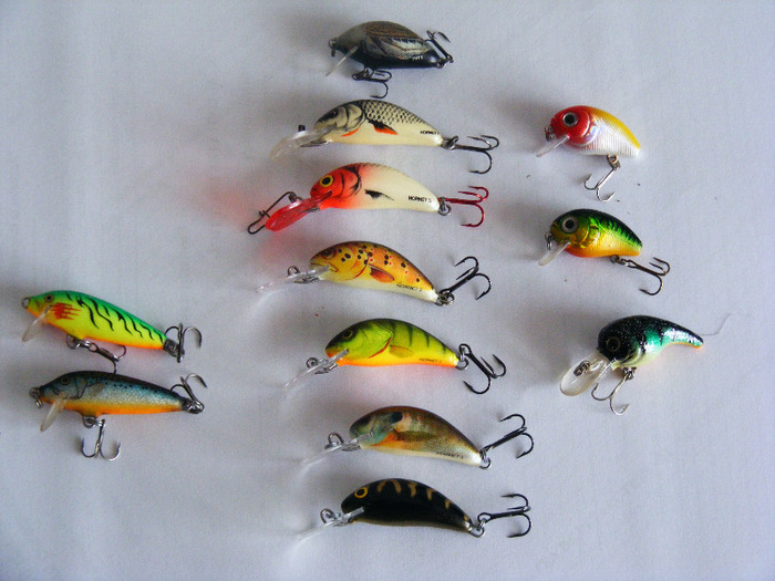 2011_0328PianuarieP0013