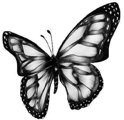 butterfly_clip_art_2 - simple butterfly