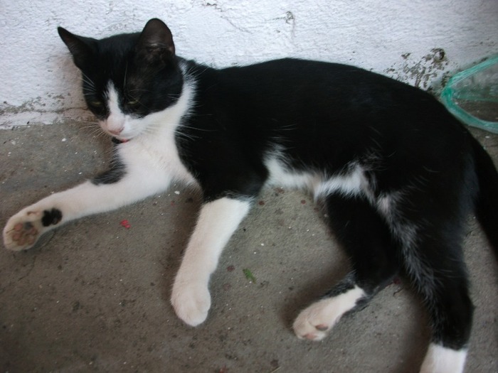 Picture 085 - MIEUNEL