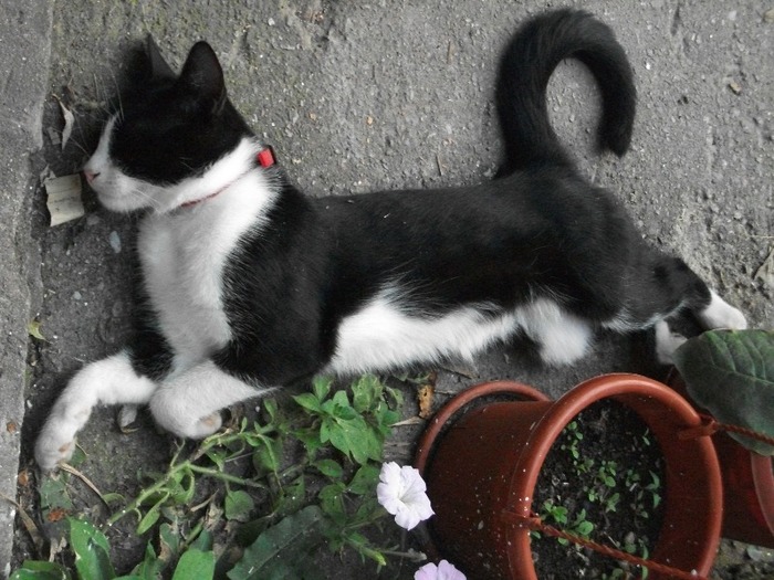 Picture 089 - MIEUNEL