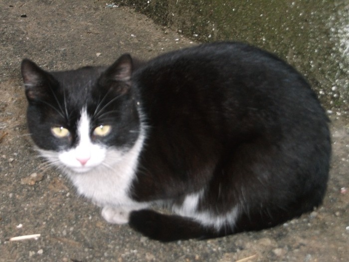 Picture 913 - MIEUNEL