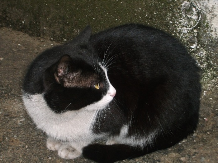 Picture 912 - MIEUNEL