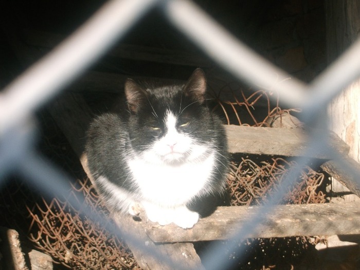 Picture 506 - MIEUNEL