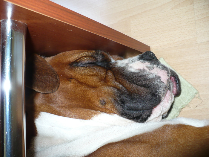P1330108