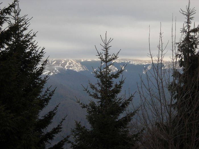 Valea Prahovei - La munte pe Valea Prahovei Iarna-winter mountain