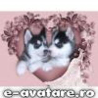 avatare_gratuite_4f90bc07bbb685103d2f6c4087bdf999 - poze avatare