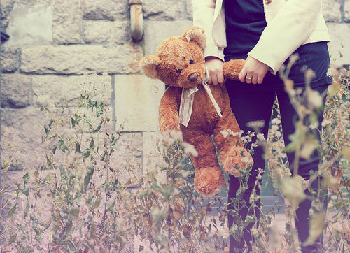 Teddy Bear`