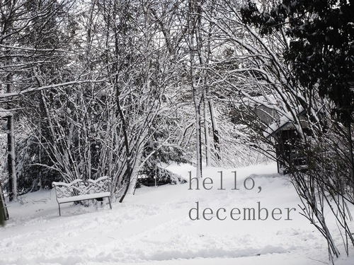 hello__december - W i n t e r