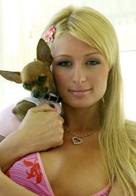 PARIS HILTON SI IUBIREA EI - paris hilton