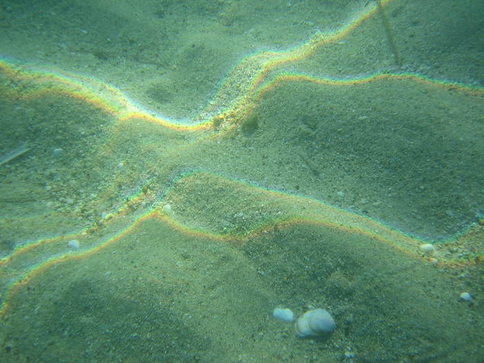 IMG_0180 - meduza imensa si sub apa