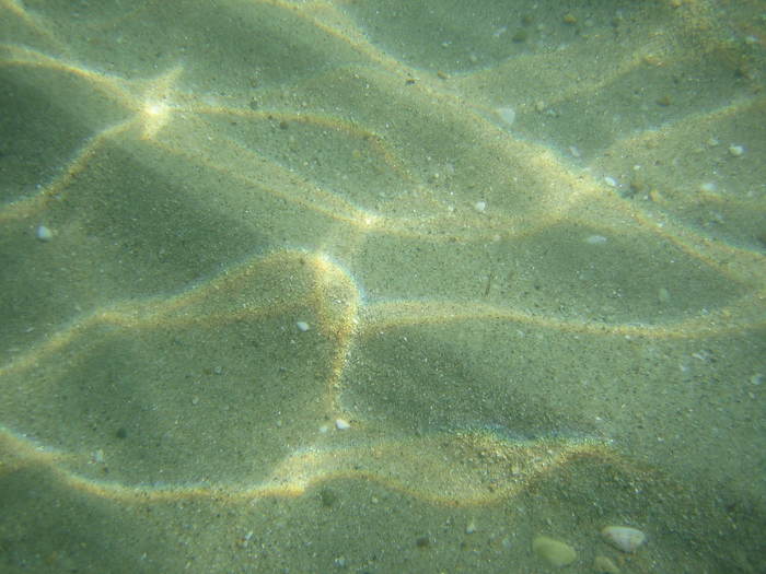 IMG_0265 - meduza imensa si sub apa