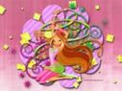 fanwinxclub20