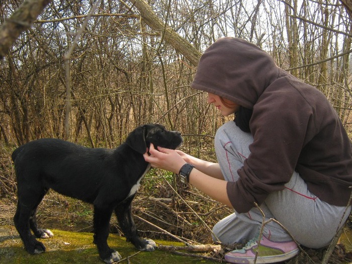 sheila&laura - Cane Corso