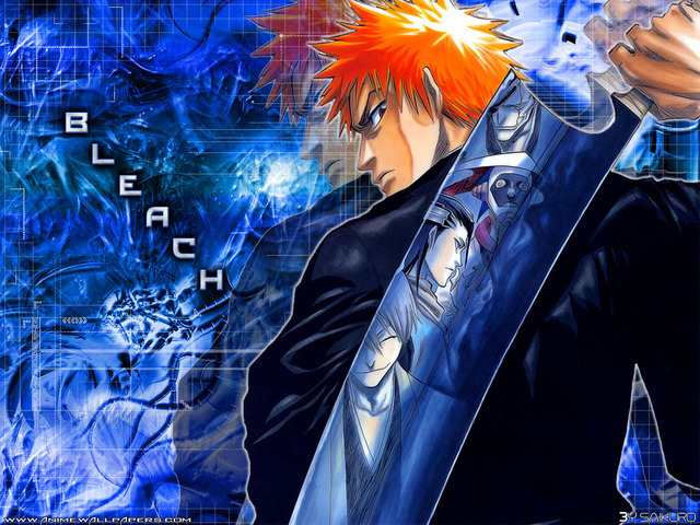 bleach_11_640