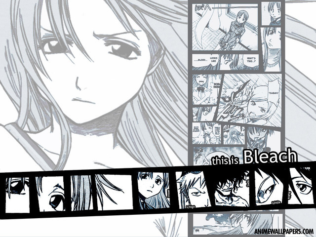 bleach_30_640