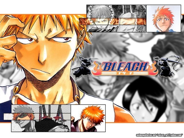 bleach_60_640