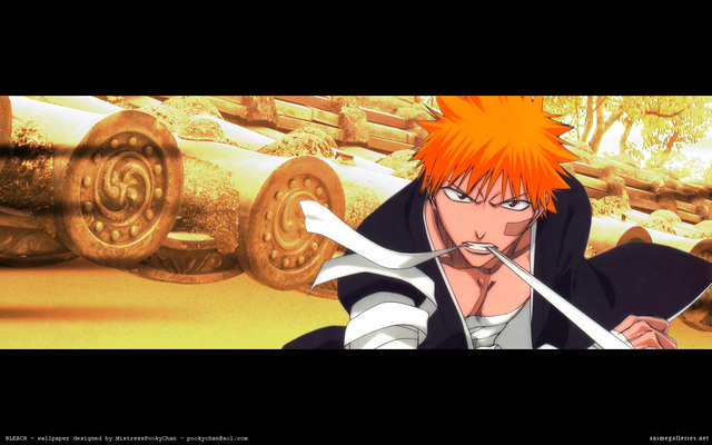 bleach_63_640