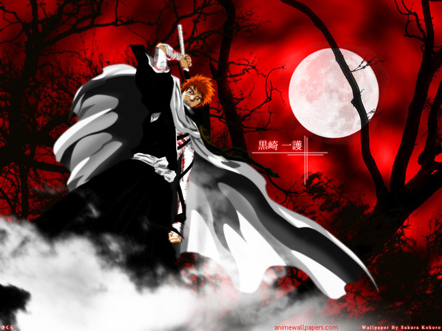 bleach_73_640